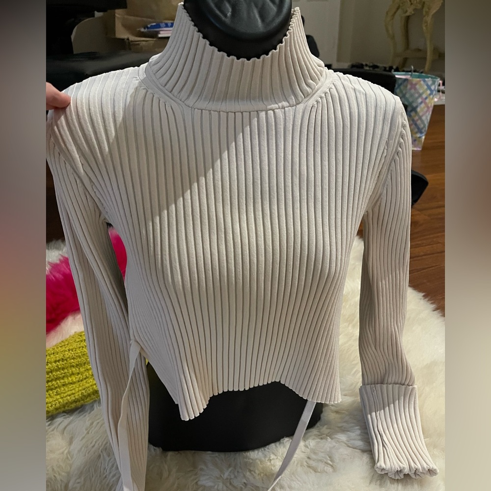 Turtle crop top - Picture 3 of 4